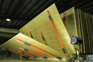 دکتر ناصری: لوح سبز جنوب نمونه‌ای موفق از انسجام سازمانی است