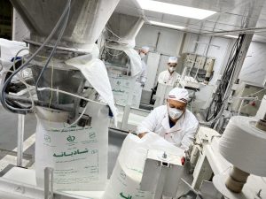 تولید بیش از ۷۲۱ هزار تن شکر سفید در توسعه نیشکر