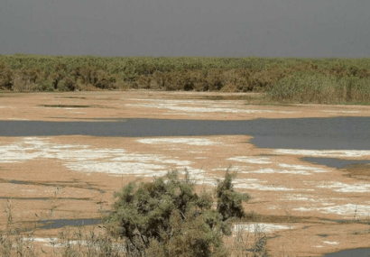 هورالعظیم تنها ۳۸ درصد آب دارد