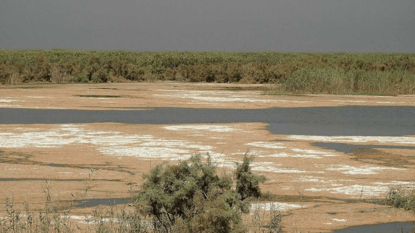 هورالعظیم تنها ۳۸ درصد آب دارد